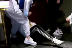 绅士小猎豹,探寻野生动物的优雅与智慧
